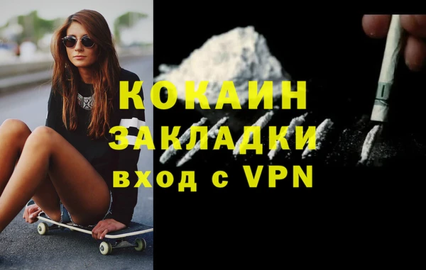 дмт Пересвет
