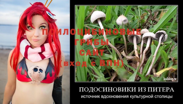 трава Переславль-Залесский