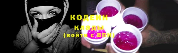 дмт Пересвет