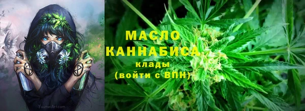 дмт Пересвет