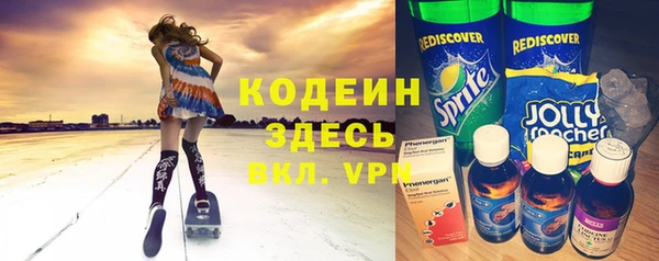 дмт Пересвет
