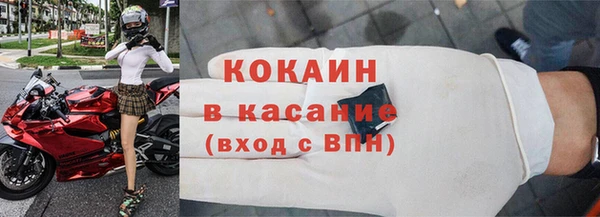 дмт Пересвет
