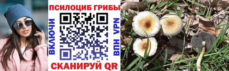 Галлюциногенные грибы мухоморы  omg ссылка  Шенкурск 
